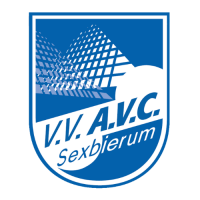 AVC VR1