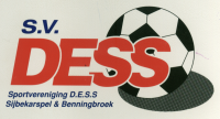 DESS 1 logo