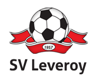Leveroy VR2