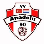 Anadolu '90